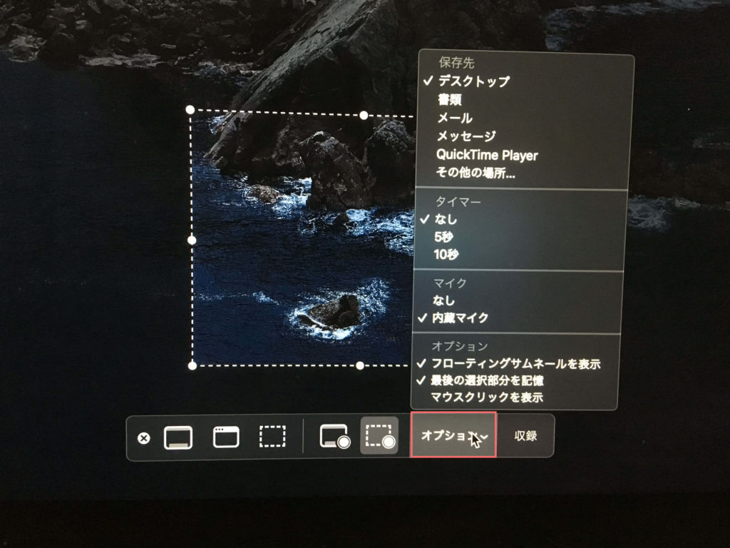スクリーンショットオプションメニュー
