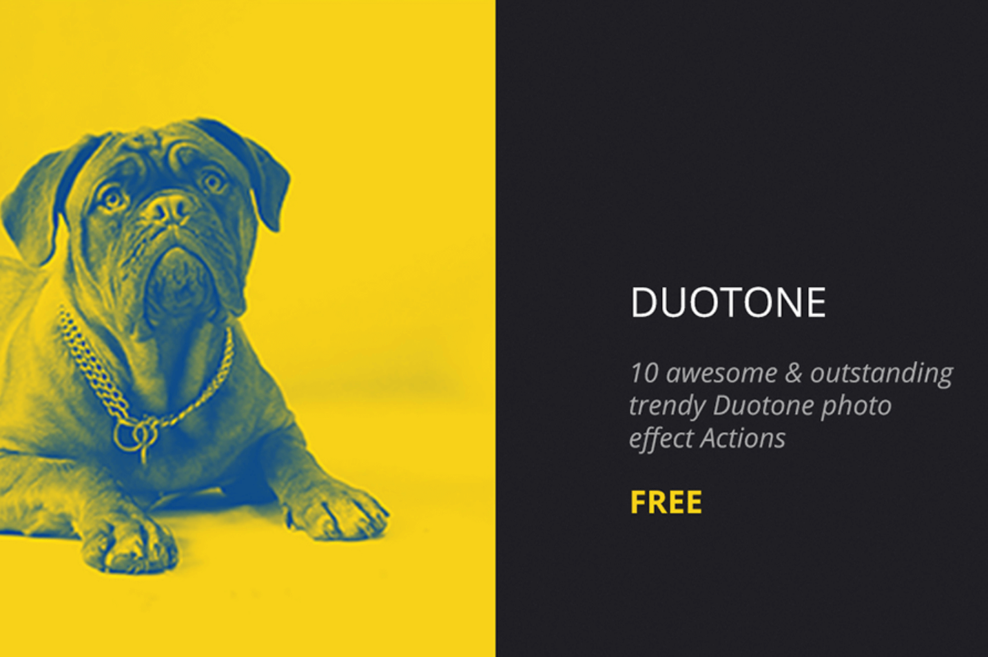 Photoshop 無料 アクション Duotone おすすめ お洒落 かっこいい