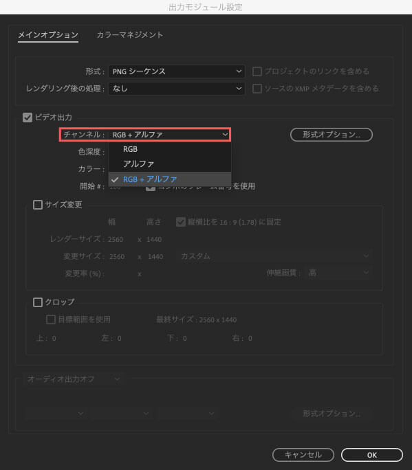 チャンネルがRGB+アルファであることを確認しOKをクリック