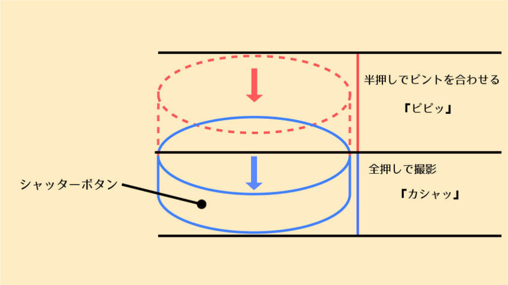 シャッターボタン半押しでピントを合わせる