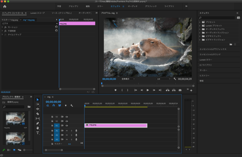 Adobe Premiere Pro After Effects Final Cut Pro X アクション 無料 映像 素材 動画編集 煙 霧 スモーク フォグ 背景素材の読み込み