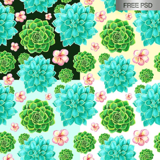 Adobe Photoshop フォトショップ 無料 パターン テクスチャー プリセット .pat 水彩 インク free Pattern Water Color Ink Preset FREE 4 SUCCULENTS WATERCOLOR SEAMLESS PATTERN IN PSD