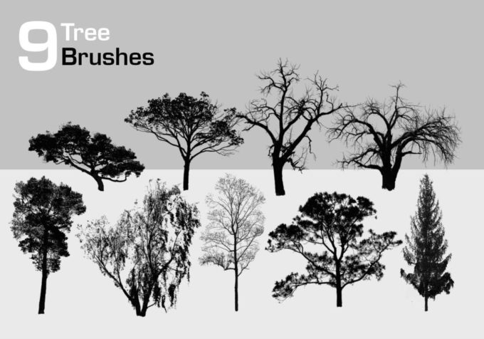 フォトショップ ブラシ Photoshop Brush 無料 イラスト 木 森 林 草木 9 High Resolution Tree Brushes