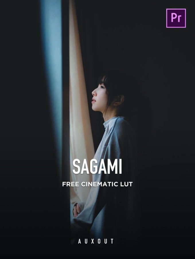 AUXOUT FREE CINEMA LUT SAGAMI 無料 配布