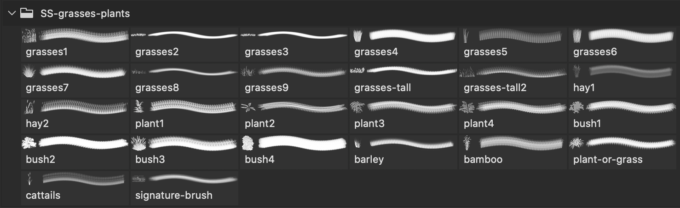 フォトショップ ブラシ 無料 草 雑草 Grasses and Plants Photoshop and GIMP Brushes