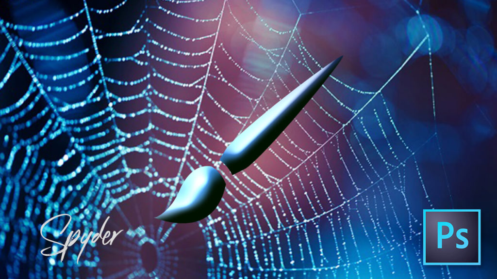 フォトショップ ブラシ Photoshop Spyder Brush クモ 蜘蛛 クモの巣 無料 abr