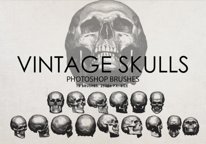 フォトショップ ブラシ 無料 スカル ガイコツ 骸骨 骨 イラスト Free Vintage Skulls Photoshop Brushes