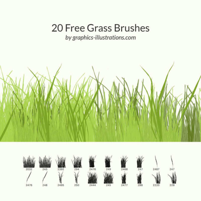 フォトショップ ブラシ Photoshop Brush 無料 イラスト 草 雑草 植物 葉 プランツ 20 Free Grass Brushes