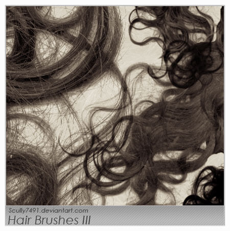 フォトショップ ブラシ 無料 毛 髪の毛 Hair Brushes III