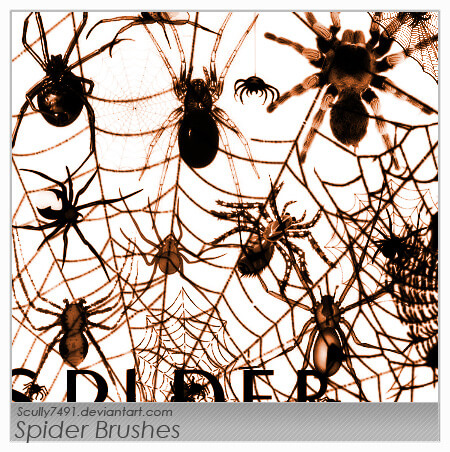 フォトショップ ブラシ Photoshop Brush 無料 クモ 蜘蛛 スパイダー イラスト Spider