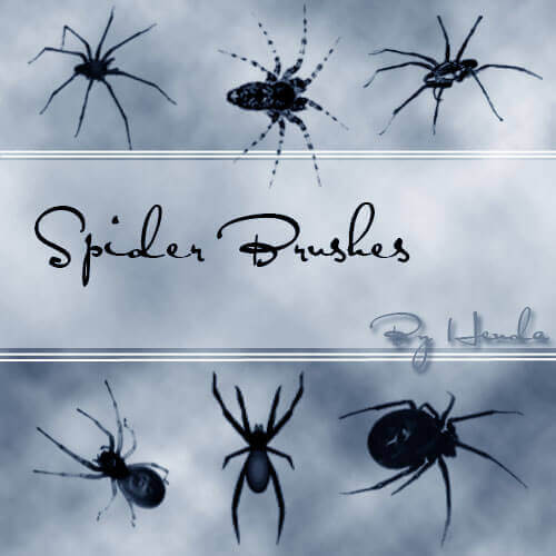 フォトショップ ブラシ Photoshop Brush 無料 クモ クモの巣 蜘蛛 スパイダー Spider Brushes