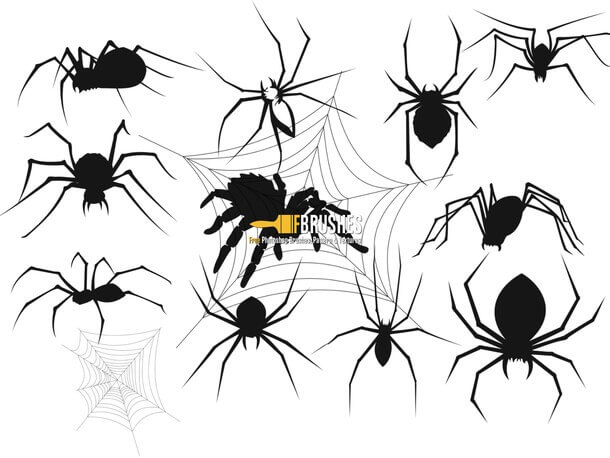 フォトショップ ブラシ Photoshop Brush 無料 クモ クモの巣 蜘蛛 スパイダー Spider Webs