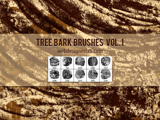 フォトショップ ブラシ Photoshop Brush 無料 イラスト 木 ウッド 木目 Tree Bark Brushes