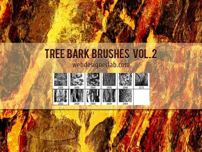 フォトショップ ブラシ Photoshop Brush 無料 イラスト 木 ウッド 木目 Tree Bark Brushes Vol. 2