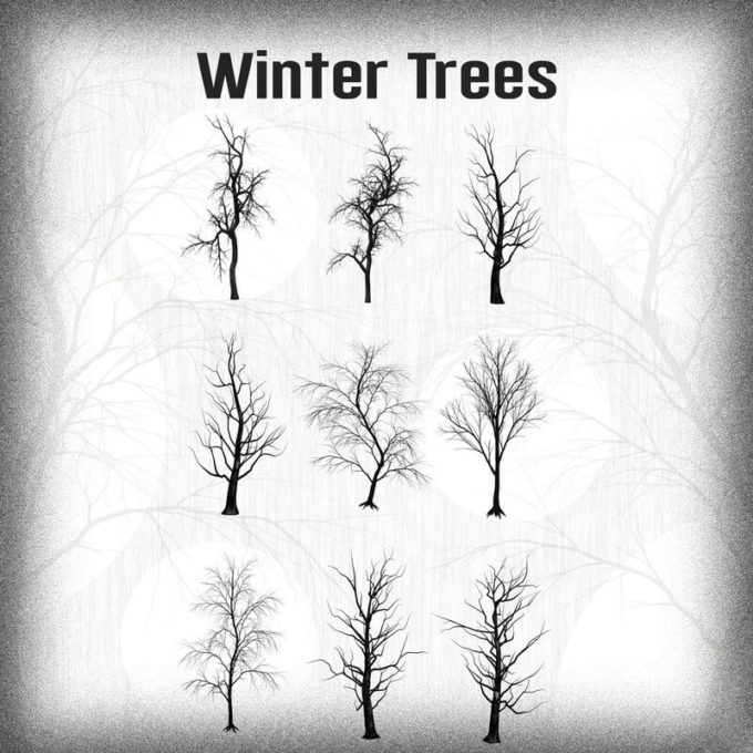 フォトショップ ブラシ Photoshop Brush 無料 イラスト 木 森 林 草木 Winter Trees