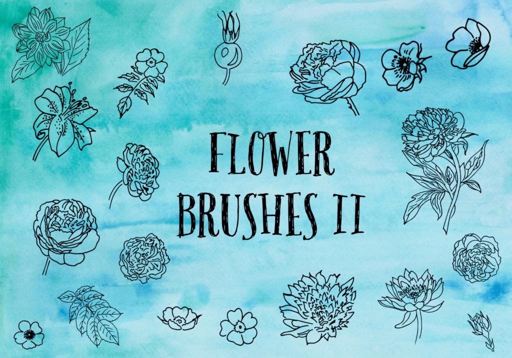 フォトショップ ブラシ Photoshop Brush 無料 Flower イラスト 花 フラワー Flower Brushes 2