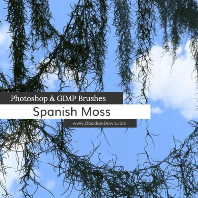 フォトショップ ブラシ 無料 木 モス Spanish Moss Photoshop and GIMP Brushes
