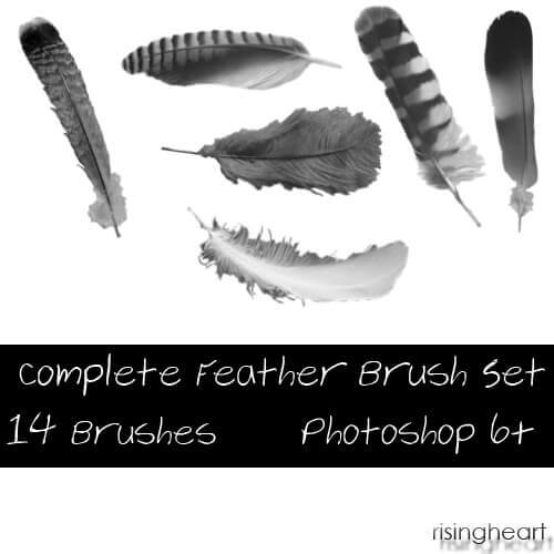 フォトショップ ブラシ Photoshop Bird feather Brush 無料 イラスト 鳥 バード Complete Feather Brush Set