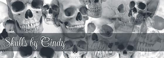 フォトショップ ブラシ Photoshop Skeleton Brush 無料 イラスト スカル 骸骨 ガイコツ スケルトン Skull Brushes