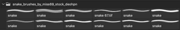 フォトショップ ブラシ Photoshop Snake Brush 無料 イラスト 蛇 ヘビ へび スネーク Snake Brushes