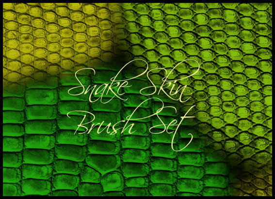 フォトショップ ブラシ Photoshop Snake Brush 無料 イラスト 蛇 ヘビ へび スネーク 皮 Snake Skin Brush Set