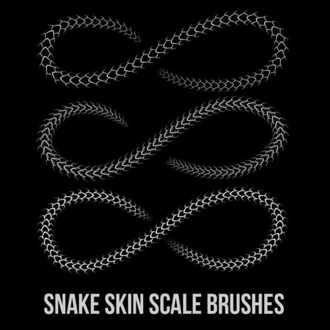 フォトショップ ブラシ Photoshop Snake Brush 無料 イラスト 蛇 ヘビ へび スネーク Snake Skin Scale Brushes