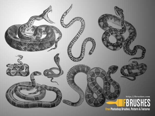 フォトショップ ブラシ Photoshop Tattoo Brush Free abr 無料 イラスト タトゥー 模様 柄 刺青 蛇 ヘビ スネーク Snakes