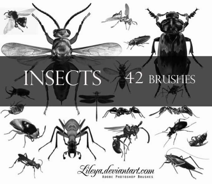 フォトショップ ブラシ Photoshop Bug Insect Brush 無料 イラスト 虫 ムシ 昆虫 Insects