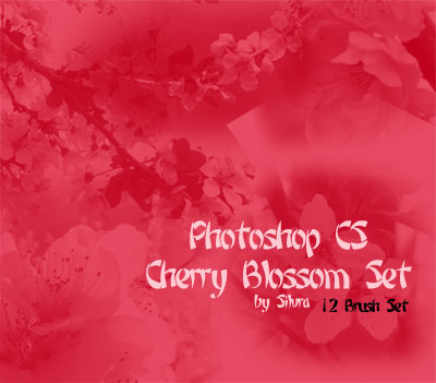 フォトショップ ブラシ Photoshop Cherry Blossoms Brush 無料 イラスト 桜 サクラ チェリーブロッサム Cherry Blossom :: PS - CS