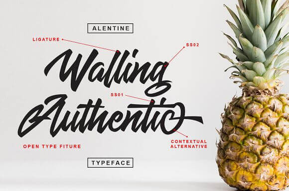 Free Font Design 無料 フリー フォント 追加 デザイン 筆記体 Alentine Script Font