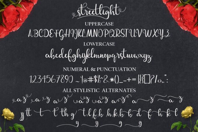 Free Font Design 無料 フリー フォント 追加 デザイン 筆記体 Streetlight