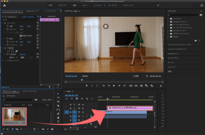 Adobe Premiere Pro フリーズフレーム エフェクト スナップショット インポート