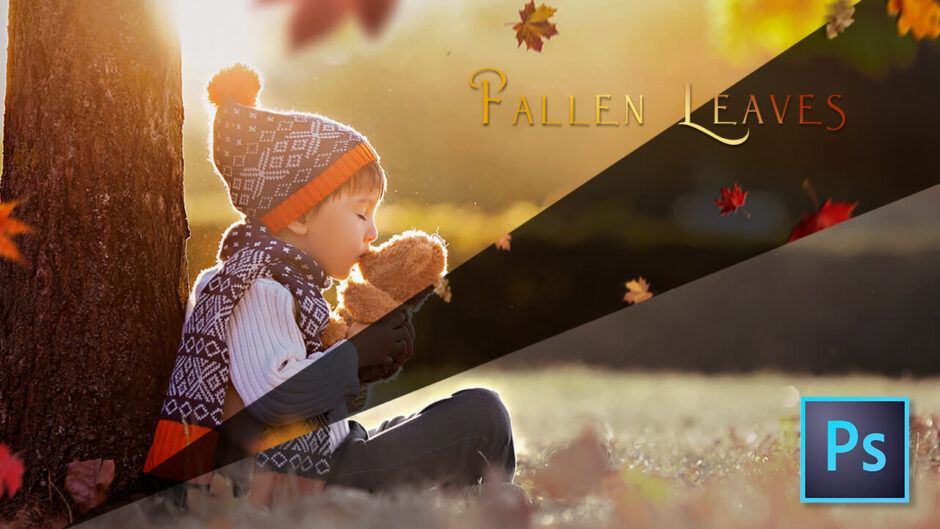 Photoshop Free Fallen leaves Overlay Texture フォトショップ オーバーレイ テクスチャー 無料 フリー 落ち葉 葉っぱ 枯れ葉