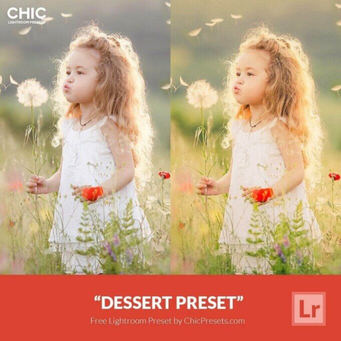 Adobe Lightroom Free Preset .xmp .lrtemplate 無料 フリー エモい ポートレイト Free Lightroom Preset Dessert