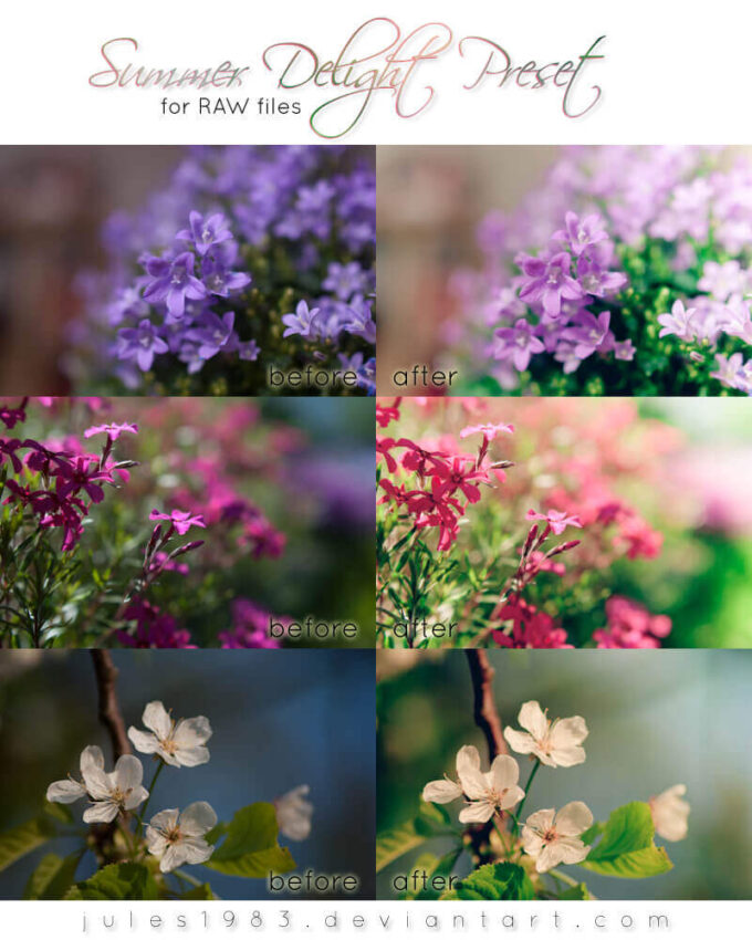 Adobe Lightroom Free Preset Pack .xmp .lrtemplate Flower 無料 フリー 花 フラワー Summer Delight Preset