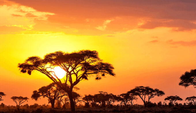Adobe Lightroom Free Preset Sunrise .xmp .lrtemplate 無料 フリー サンライズ 日の出 光 Brighten Adobe Lightroom Free Preset Sunrise .xmp .lrtemplate 無料 フリー サンライズ 日の出 光 Brighten