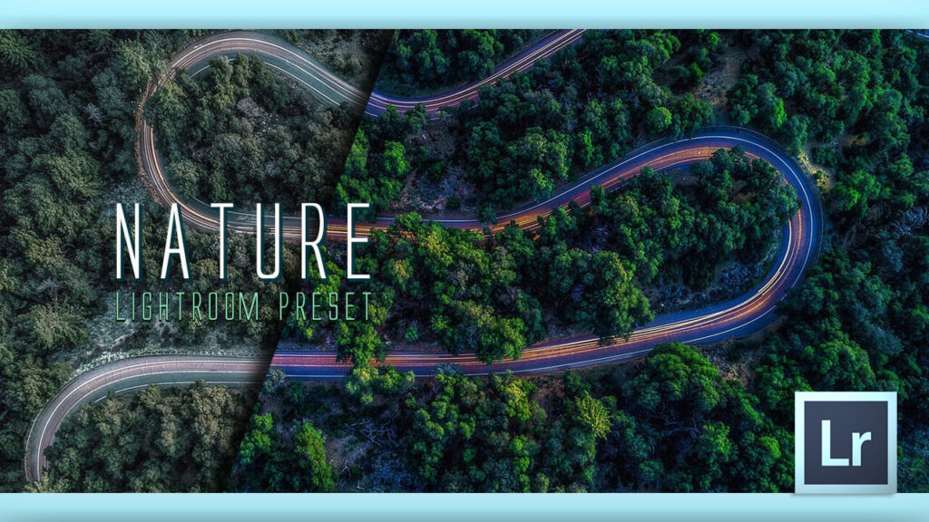 Adobe Lightroom Free Preset Nature .xmp .lrtemplate 無料 フリー 自然 森 草 木 ネイチャー