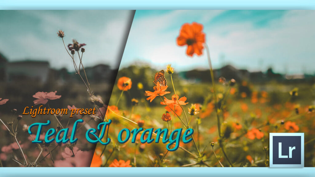 Adobe Lightroom Free Preset Sunrise .xmp .lrtemplate 無料 フリー ティールアンドオレンジ Teal & orange