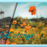 Adobe Lightroom Free Preset Sunrise .xmp .lrtemplate 無料 フリー ティールアンドオレンジ Teal & orange