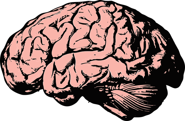 医療 看護 介護 無料 写真 イラスト 素材 著作権フリー 人体 臓器 脳 ブレイン テクノロジー Brain  art