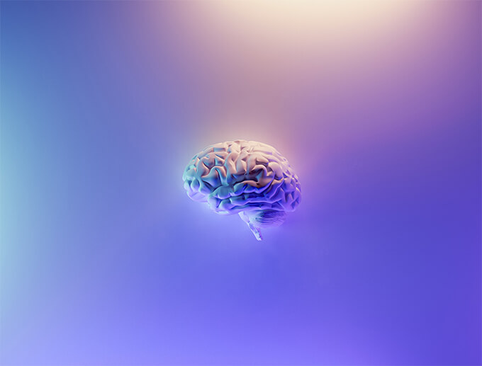 医療 看護 介護 無料 写真 イラスト 素材 著作権フリー  人体 臓器 Organs 解剖生理 Anatomical physiology 脳 brain art