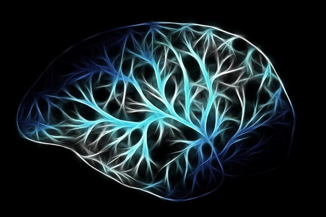 医療 看護 介護 無料 写真 イラスト 素材  人体 臓器 Organs 解剖生理 Anatomical physiology 脳 brain テクノロジー