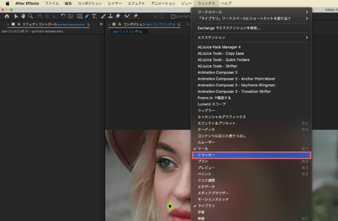 Adobe Premiere Pro ホクロ しわ しみ 消す 方法 簡単 綺麗 After Effects トラッカー 追跡