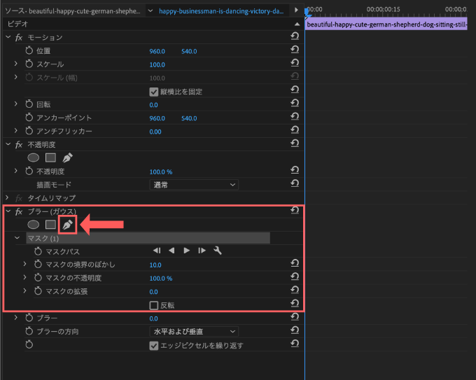 Adobe Premiere Pro Auto Motion Tracker For Objects stabilize 機能 使い方 手ブレ補正 マスクパス