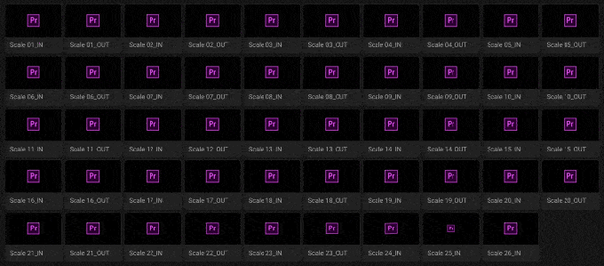 Adobe Premiere Pro Motion Presets for Premiere Pro 便利 おすすめ プリセット Scale