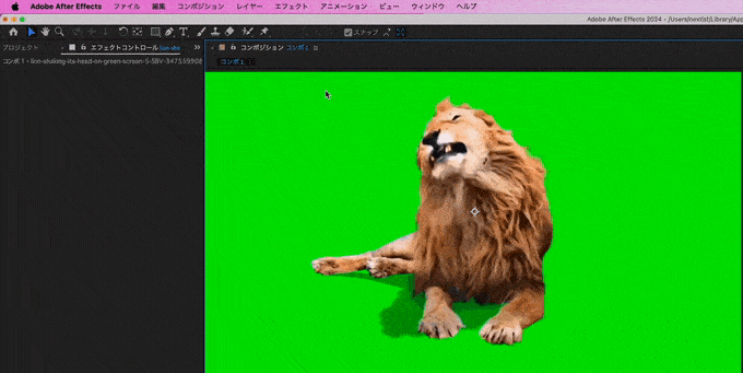 Adobe After Effects 無料 スクリプト Hologram Generator グリーンバック スクリーン Keylight