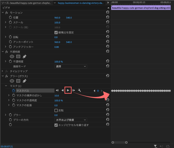 Adobe Premiere Pro Auto Motion Tracker For Objects stabilize 機能 使い方 手ブレ補正 マスクパス 自動トラッキング